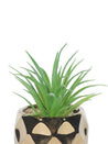 Market99 Mini Artificial Succulent Fake Bonsai Plants - MARKET 99