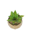 Market99 Mini Artificial Succulent Fake Bonsai Plants - MARKET 99