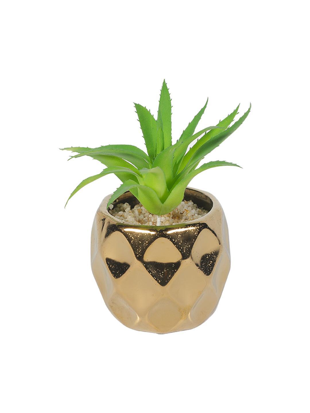Market99 Mini Artificial Succulent Fake Bonsai Plants - MARKET 99