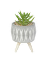 Market99 Mini Decorative Faux Succulent Plant With Pot Holder Stand - MARKET 99