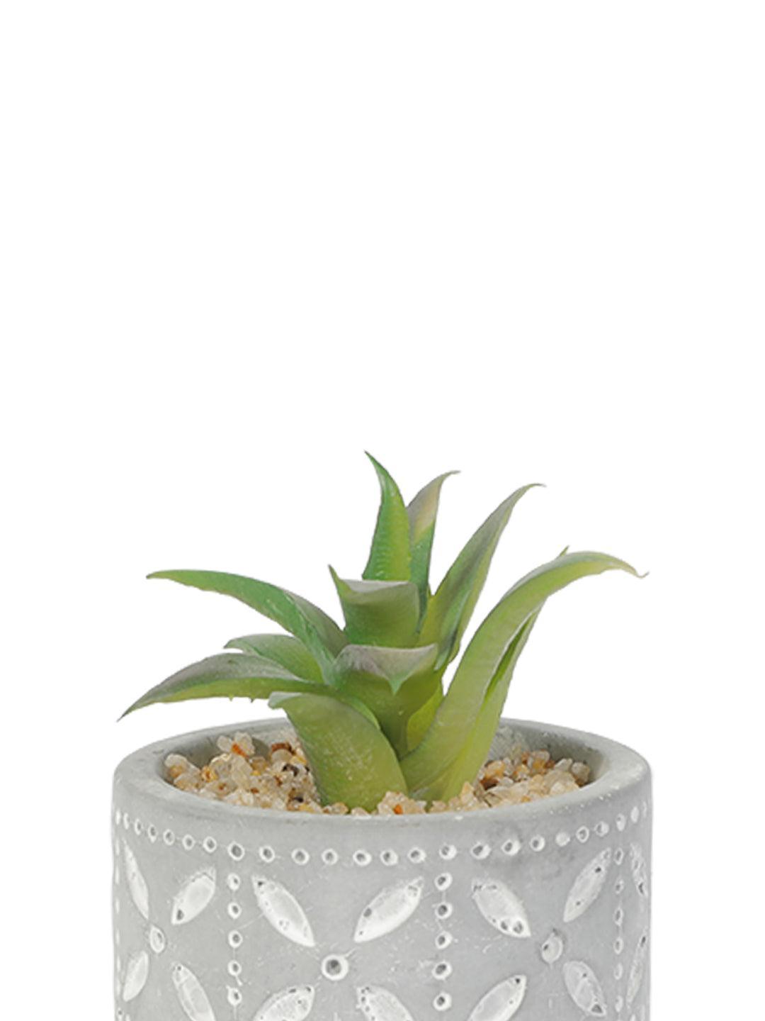 Market99 Mini Decorative Faux Succulent Plant With Pot Holder Stand - MARKET 99