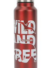 Market99 Stainless Steel 750Ml Water Bottles - MARKET 99