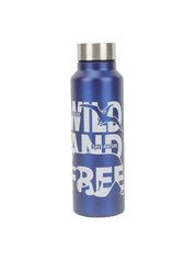 Market99 Stainless Steel 750Ml Water Bottles - MARKET 99