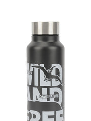 Market99 Stainless Steel 750Ml Water Bottles - MARKET 99