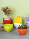 Maxwell Flower Planter Pots, Assorted Colours, Plastic, Set of 5 - MARKET 99