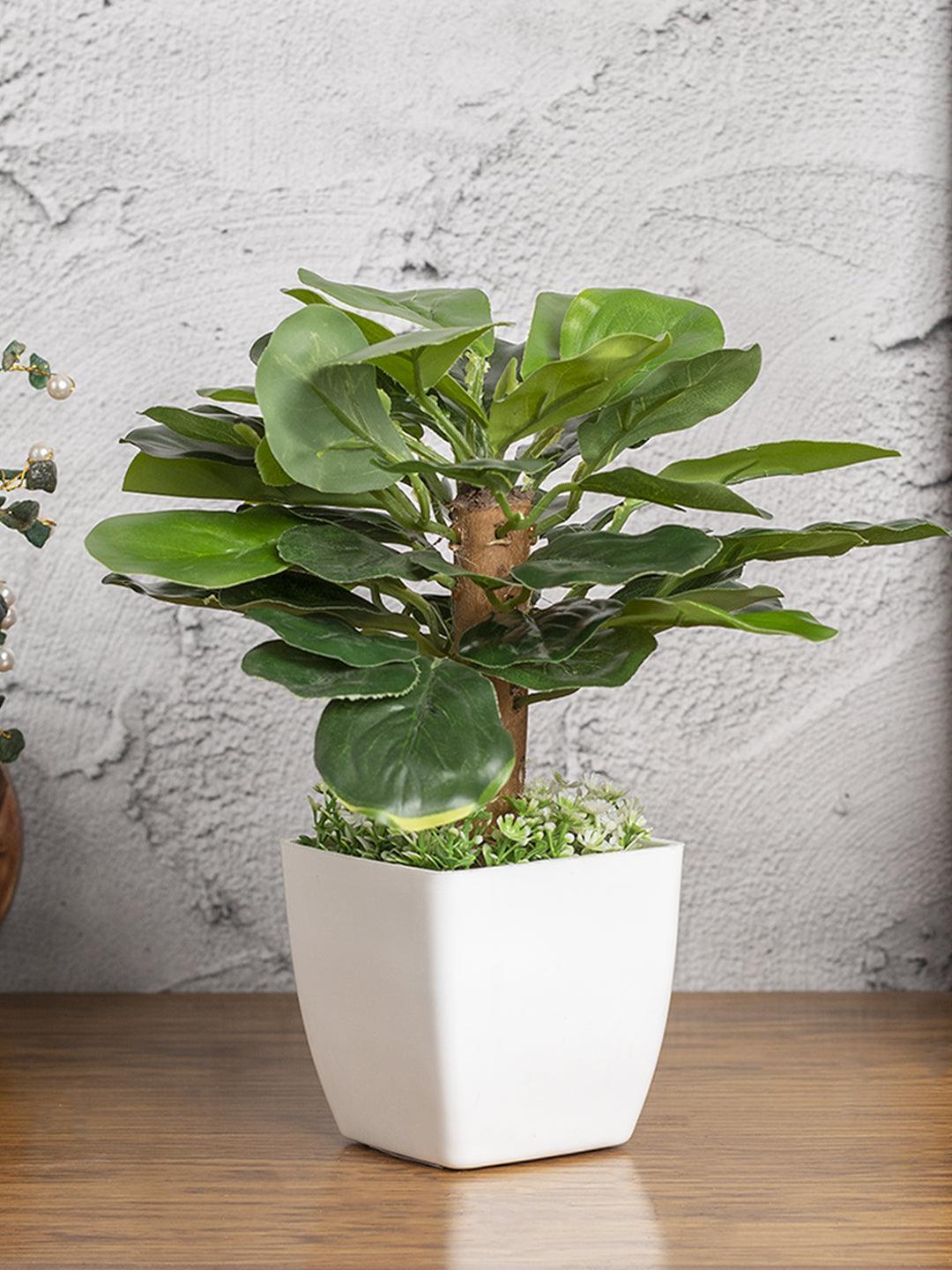 Obcordate Sahpe Leafs Home Decor Artificial Flower Pot