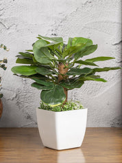 Obcordate Sahpe Leafs Home Decor Artificial Flower Pot