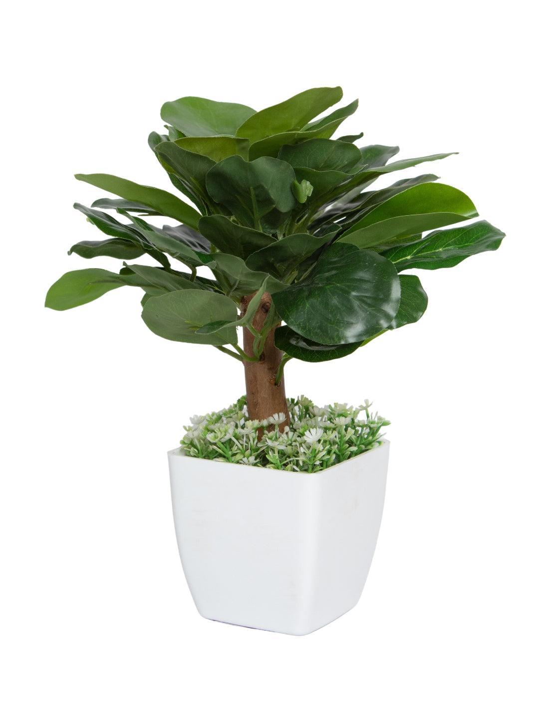 Obcordate Sahpe Leafs Home Decor Artificial Flower Pot
