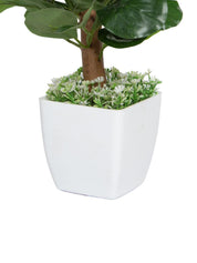 Obcordate Sahpe Leafs Home Decor Artificial Flower Pot