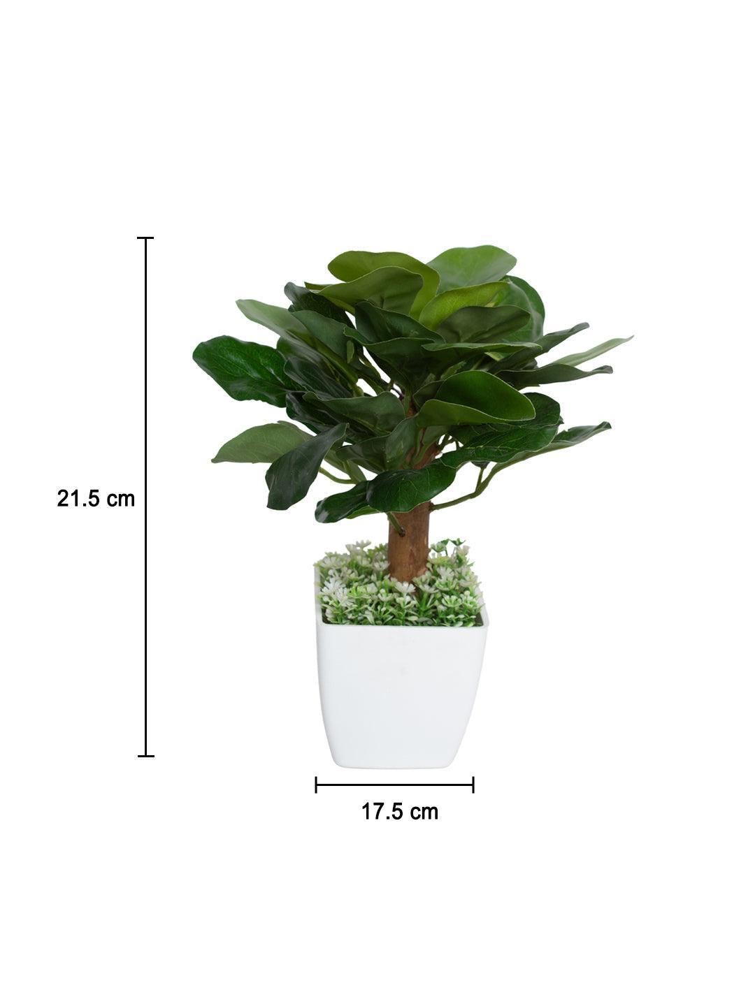 Obcordate Sahpe Leafs Home Decor Artificial Flower Pot