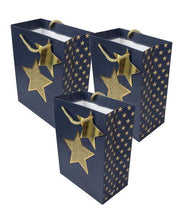 Paper, Gift Bag (Large) Pack Of 3, Printed Star, Glitter : Finish, Multicolor