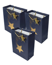 Paper, Gift Bag (Large) Pack Of 3, Printed Star, Glitter : Finish, Multicolor