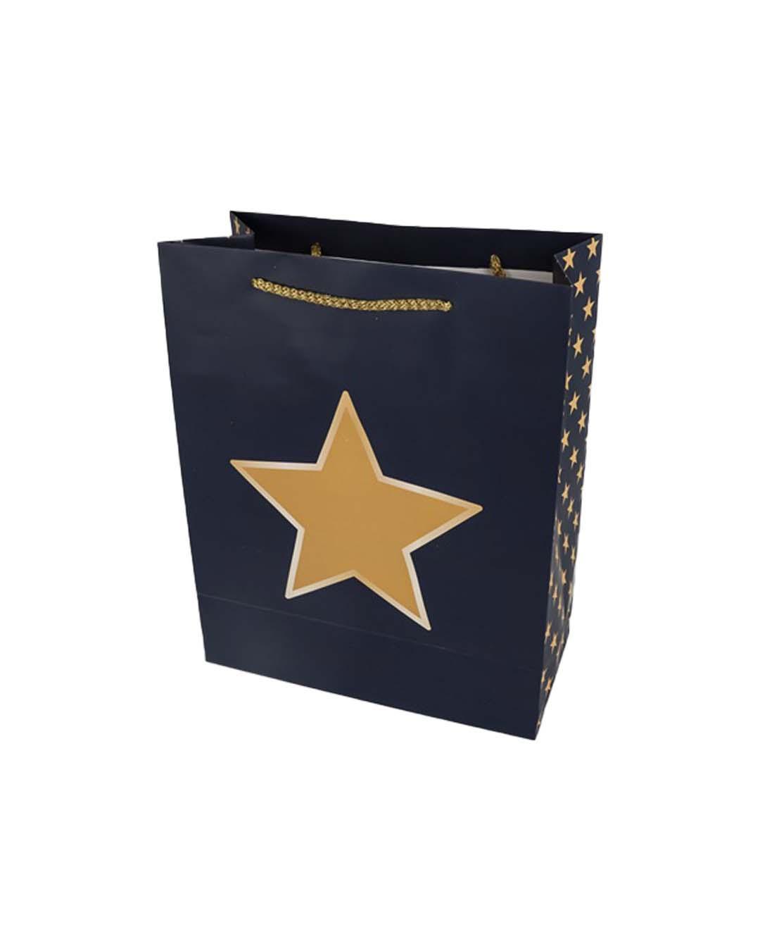 Paper, Gift Bag (Large) Pack Of 3, Printed Star, Glitter : Finish, Multicolor