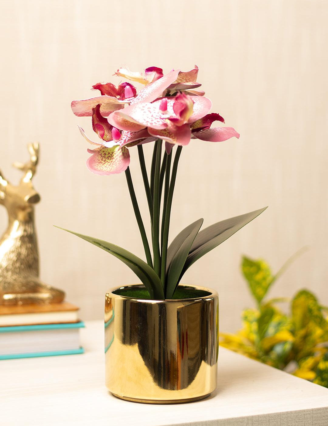 Pink Orchid With Golden Pot - MARKET 99