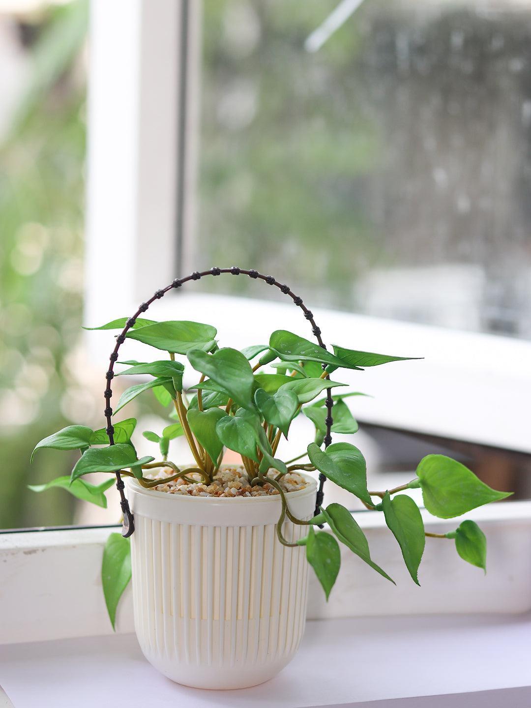 Plastic Hanging Flower Pot For Indoor & Outdoor - MARKET 99