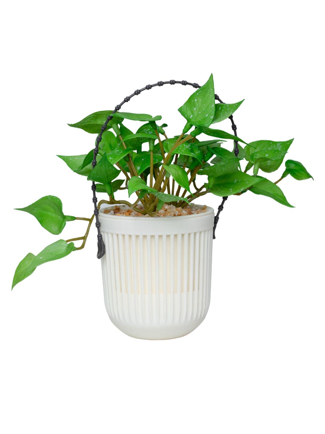 Plastic Hanging Flower Pot For Indoor & Outdoor - MARKET 99
