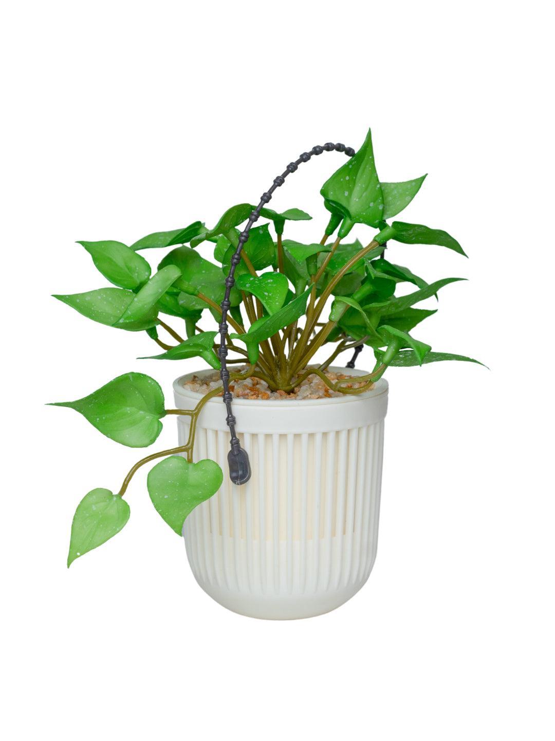 Plastic Hanging Flower Pot For Indoor & Outdoor - MARKET 99