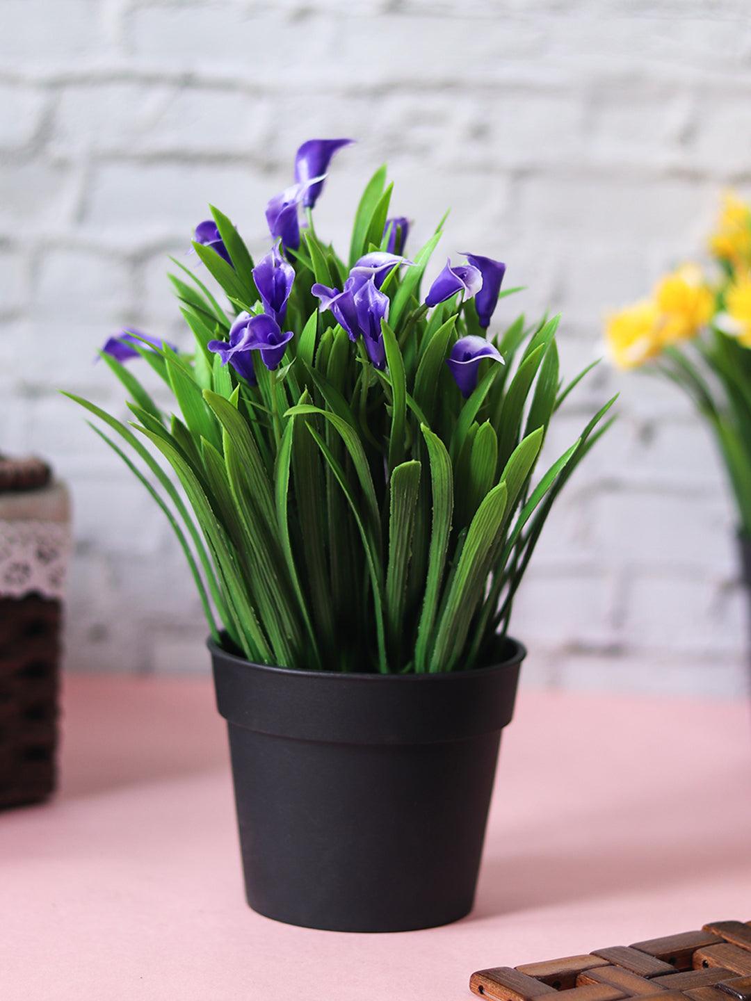 Purple Artificial Flower With Pot - MARKET 99