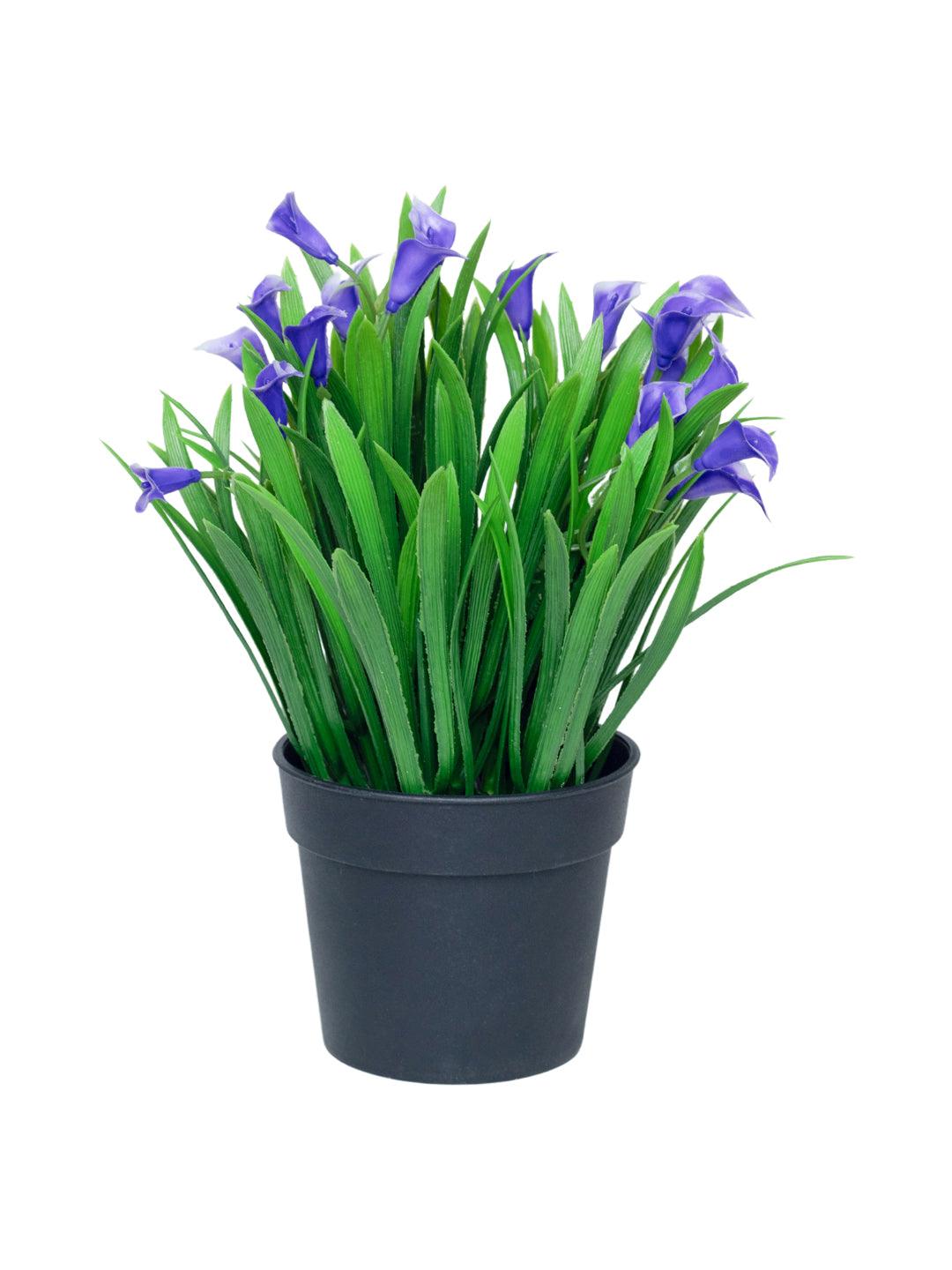 Purple Artificial Flower With Pot - MARKET 99