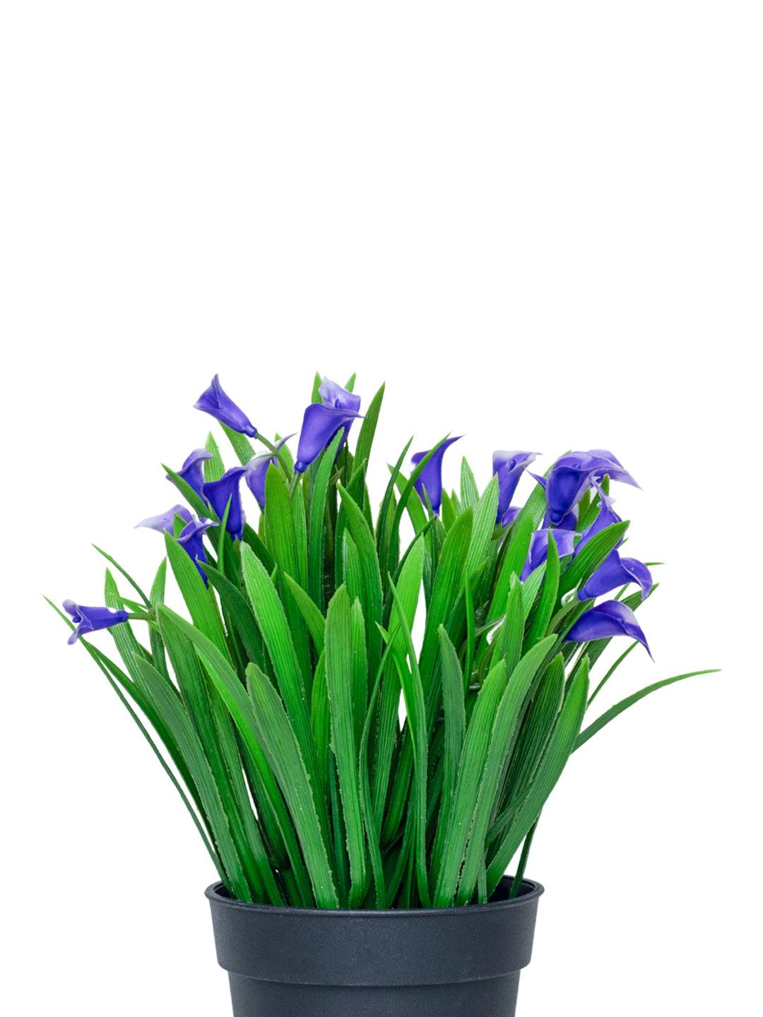 Purple Artificial Flower With Pot - MARKET 99