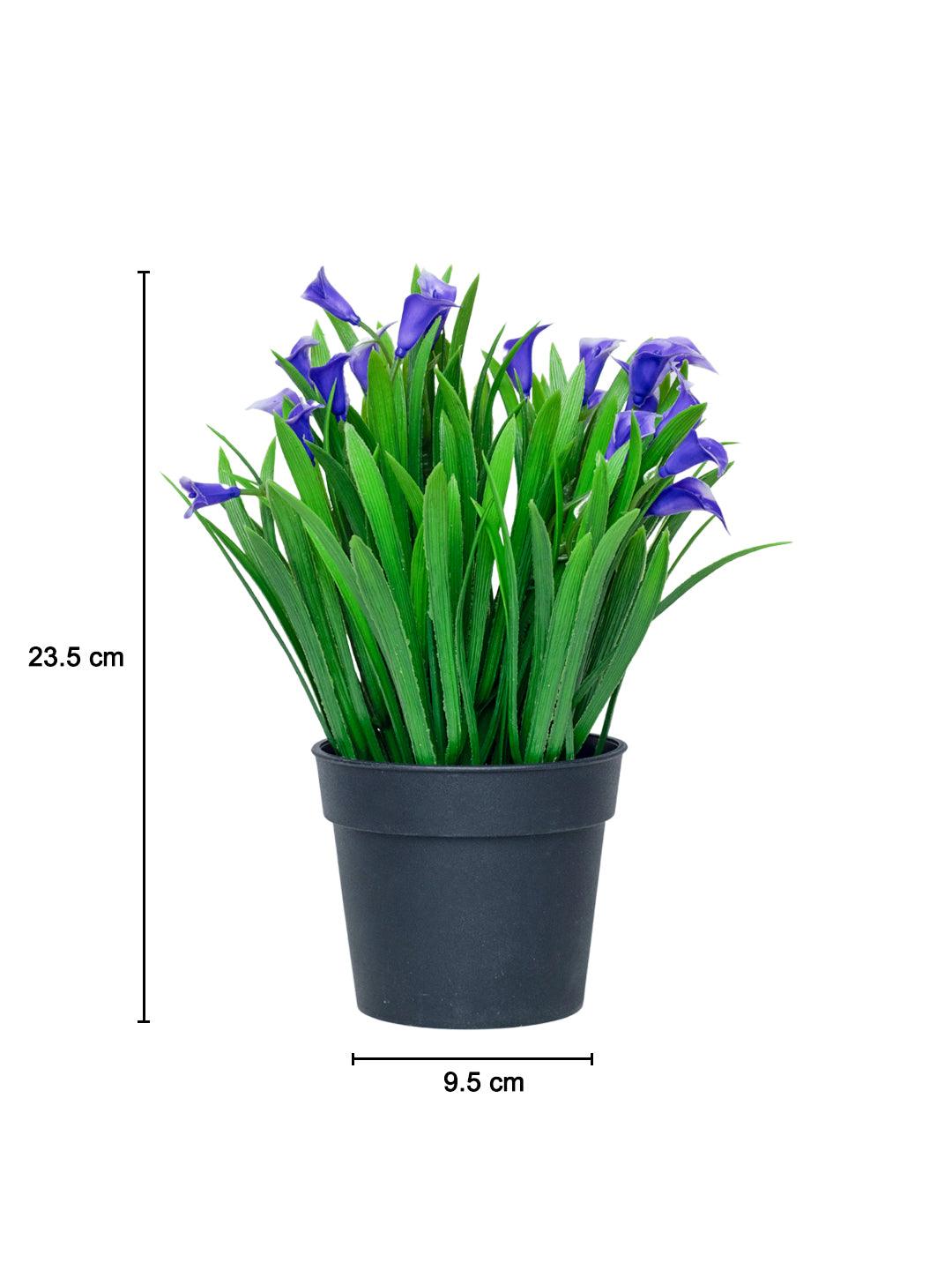 Purple Artificial Flower With Pot - MARKET 99