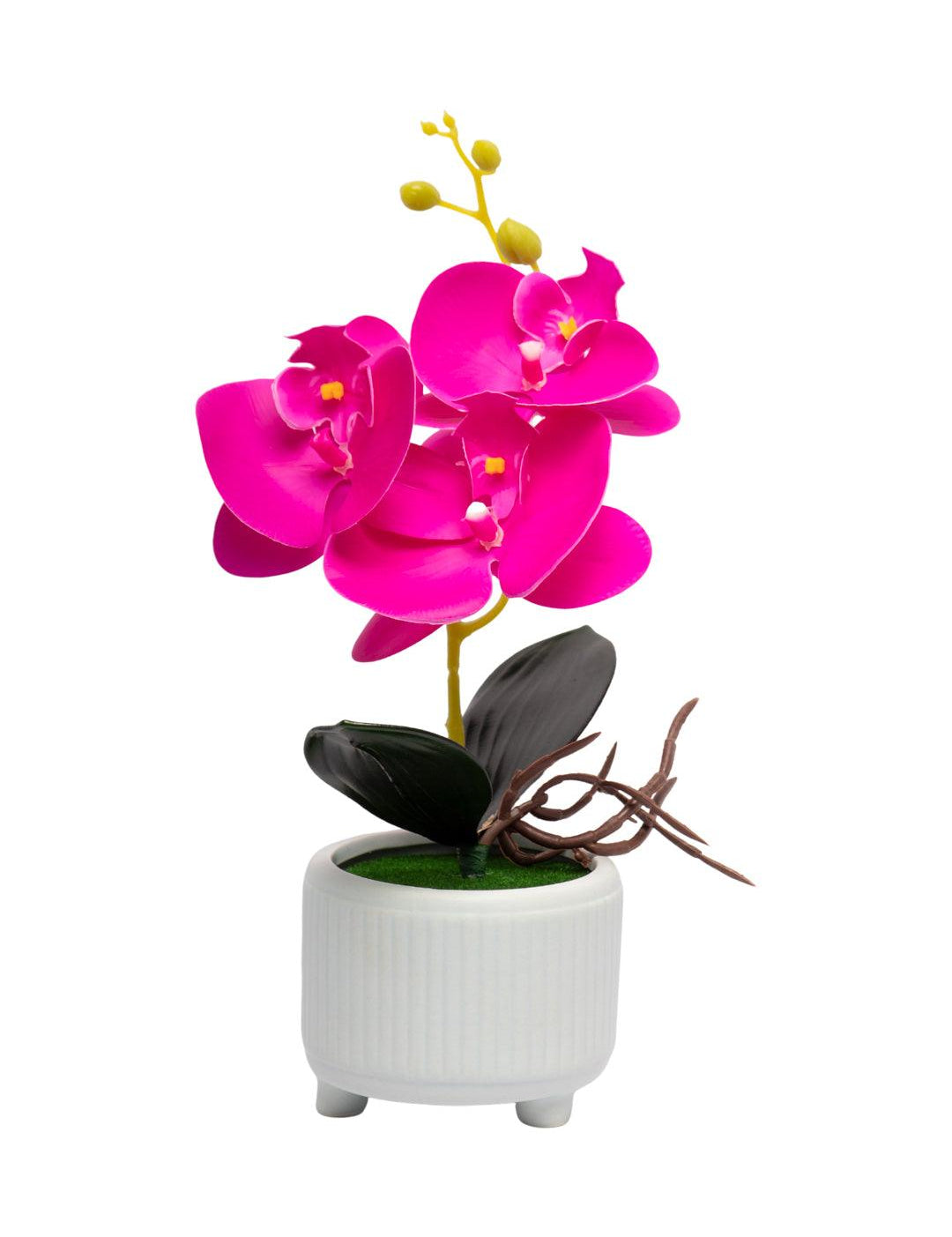 Purple Orchid With Ceramic White Pot - MARKET 99