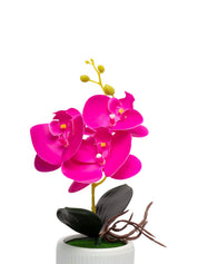 Purple Orchid With Ceramic White Pot - MARKET 99