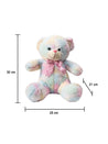 Rainbow Teddy Bear Valentine Gift - MARKET 99