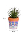 VON CASA Agave Artificial Potted Plant - Mandala Style - MARKET 99