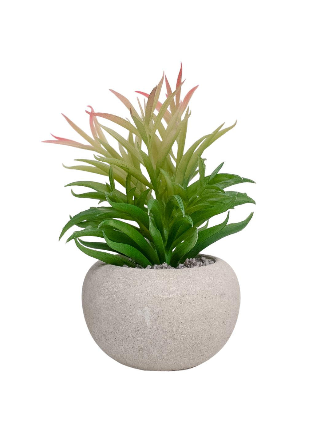 VON CASA Artificial Potted Plant - Stone Finish - MARKET 99