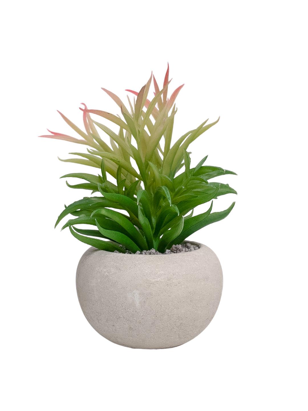 VON CASA Artificial Potted Plant - Stone Finish - MARKET 99