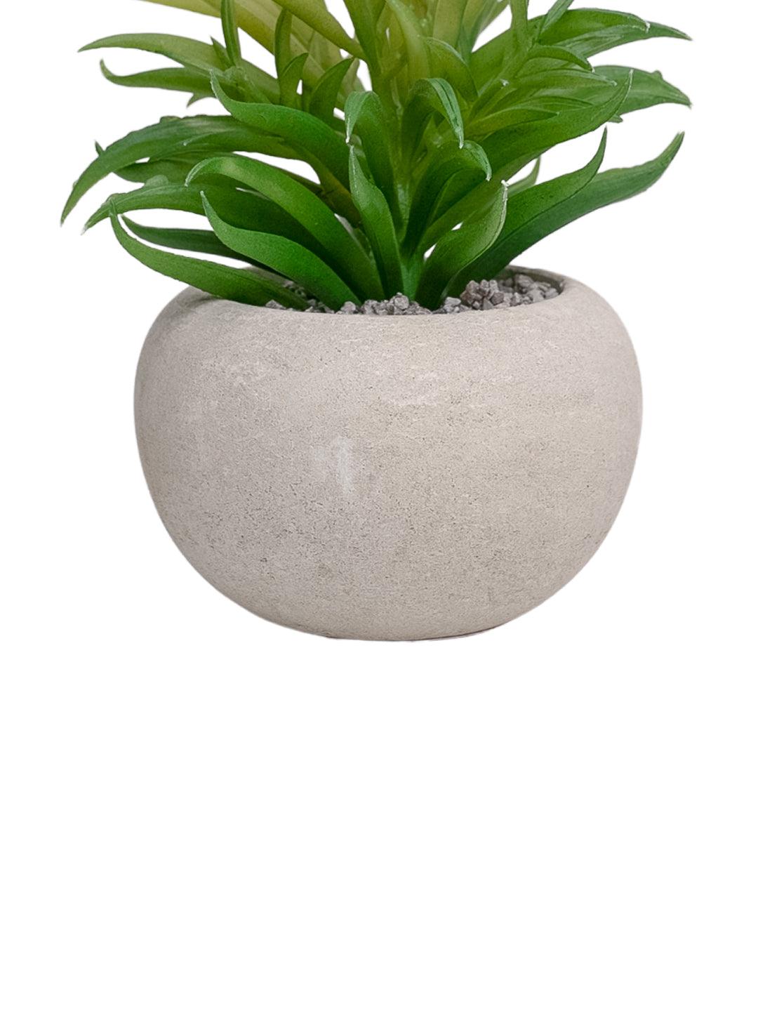 VON CASA Artificial Potted Plant - Stone Finish - MARKET 99