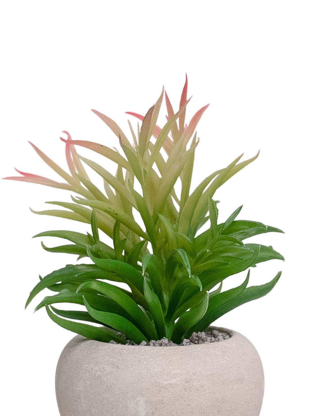 VON CASA Artificial Potted Plant - Stone Finish - MARKET 99