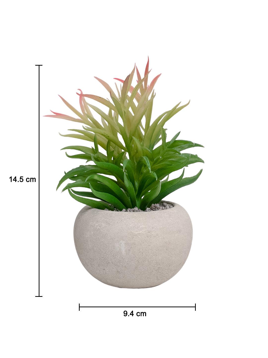 VON CASA Artificial Potted Plant - Stone Finish - MARKET 99