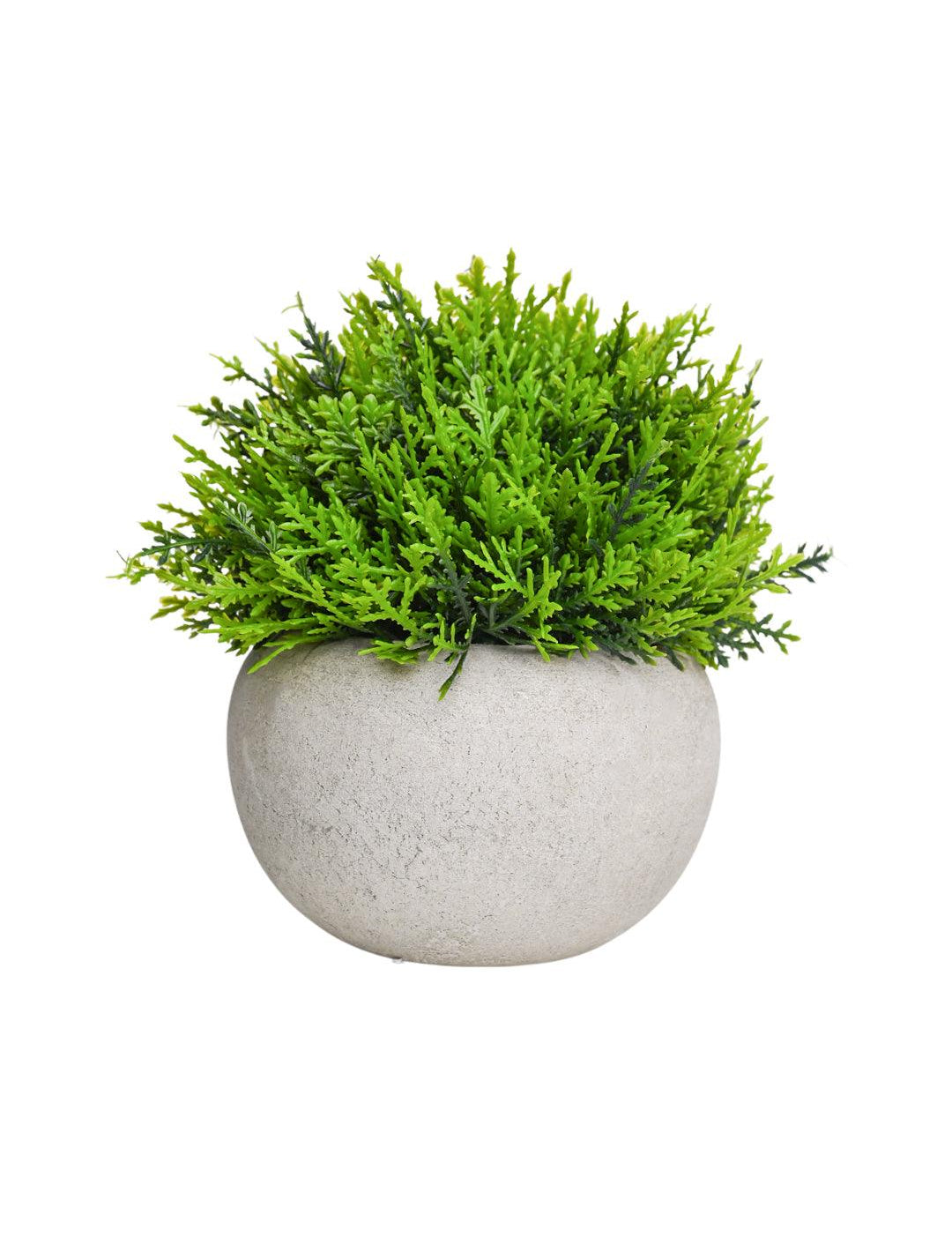 VON CASA Green Artificial Potted Plant - Stone Finish - MARKET 99