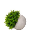 VON CASA Green Artificial Potted Plant - Stone Finish - MARKET 99