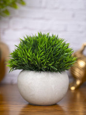 VON CASA Green Grass Artificial Potted Plant - Stone Finish - MARKET 99