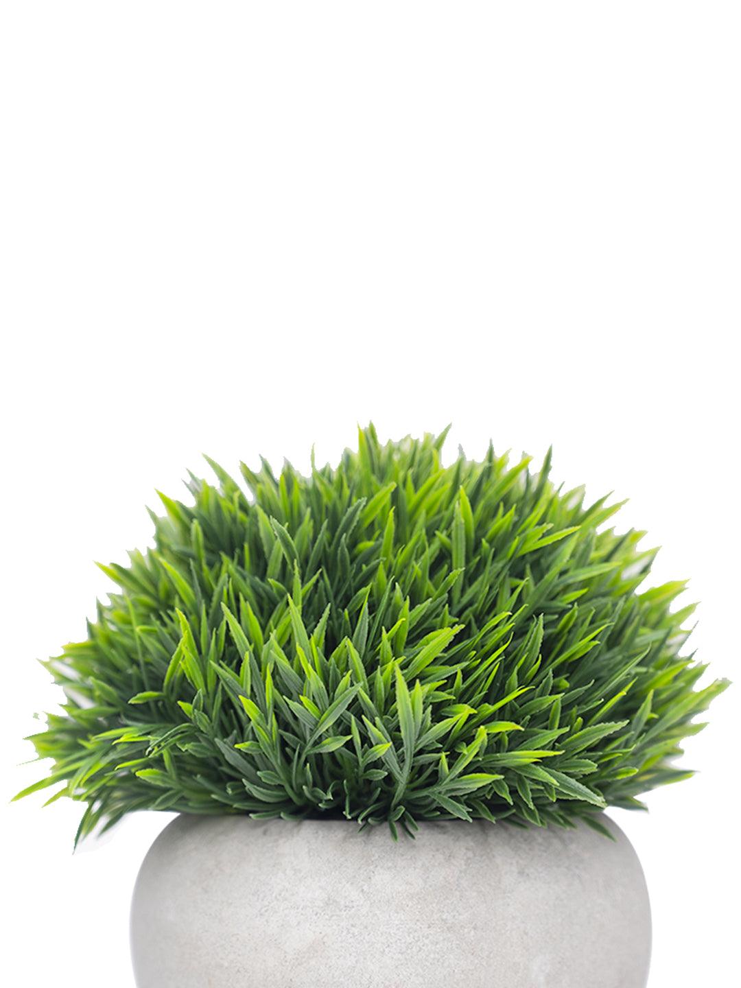 VON CASA Green Grass Artificial Potted Plant - Stone Finish - MARKET 99