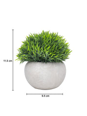 VON CASA Green Grass Artificial Potted Plant - Stone Finish - MARKET 99