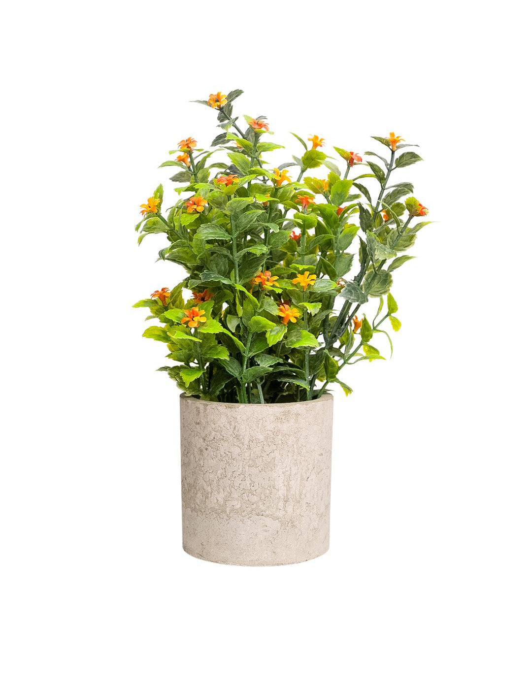 VON CASA Red Artificial Potted Plant - Stone Finish - MARKET 99