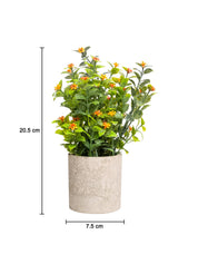 VON CASA Red Artificial Potted Plant - Stone Finish - MARKET 99