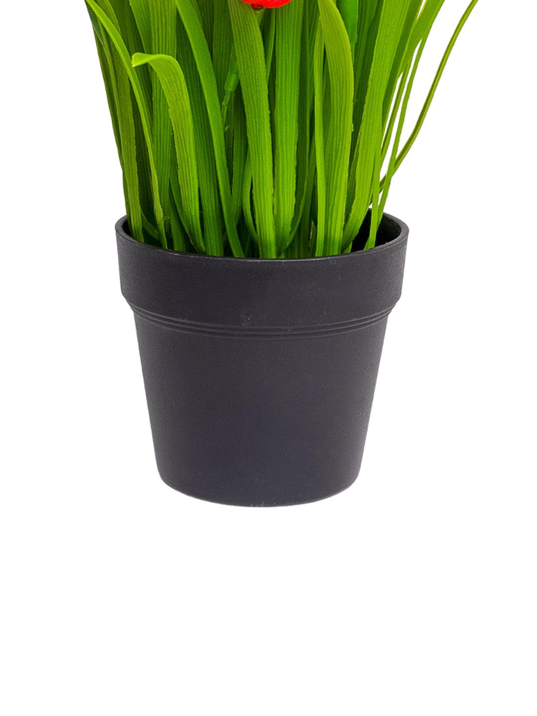 VON CASA Red Lily Artificial Potted Plant - MARKET 99