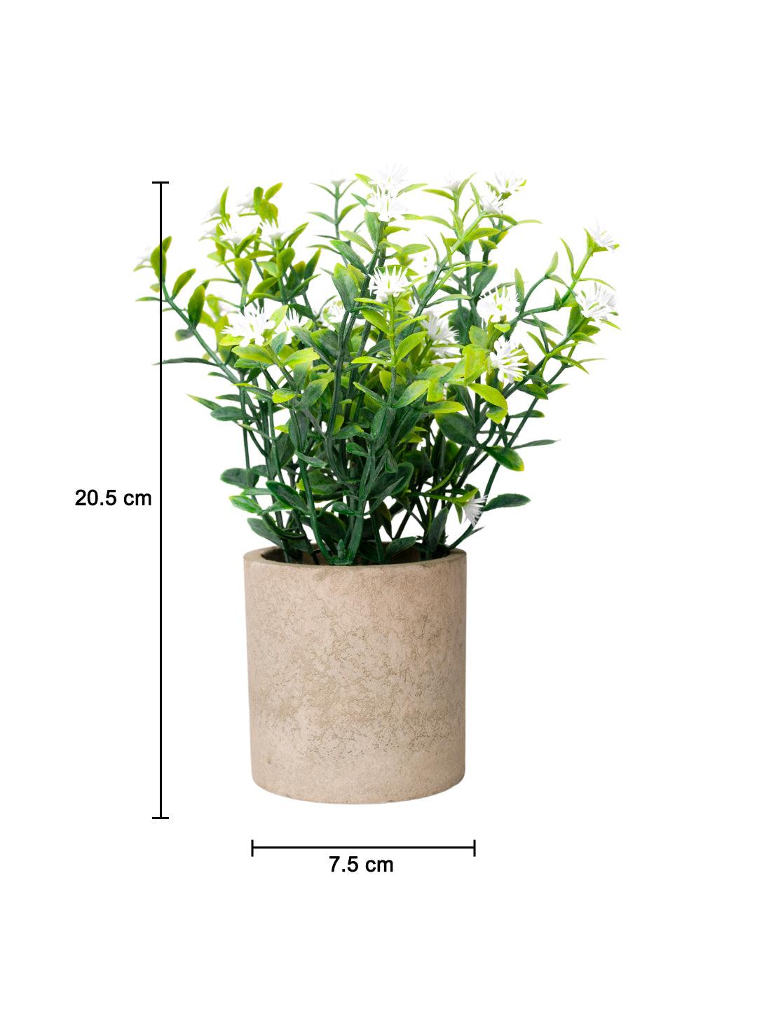 VON CASA White Artificial Potted Plant - Stone Finish - MARKET 99