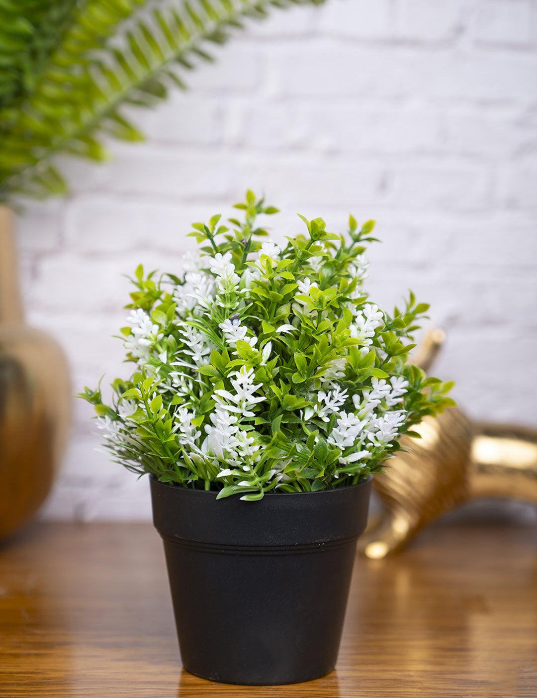 VON CASA White Flower Artificial Potted Plant - MARKET 99