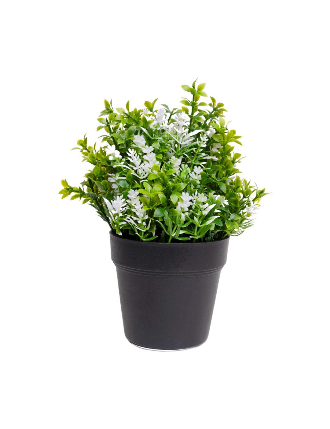 VON CASA White Flower Artificial Potted Plant - MARKET 99