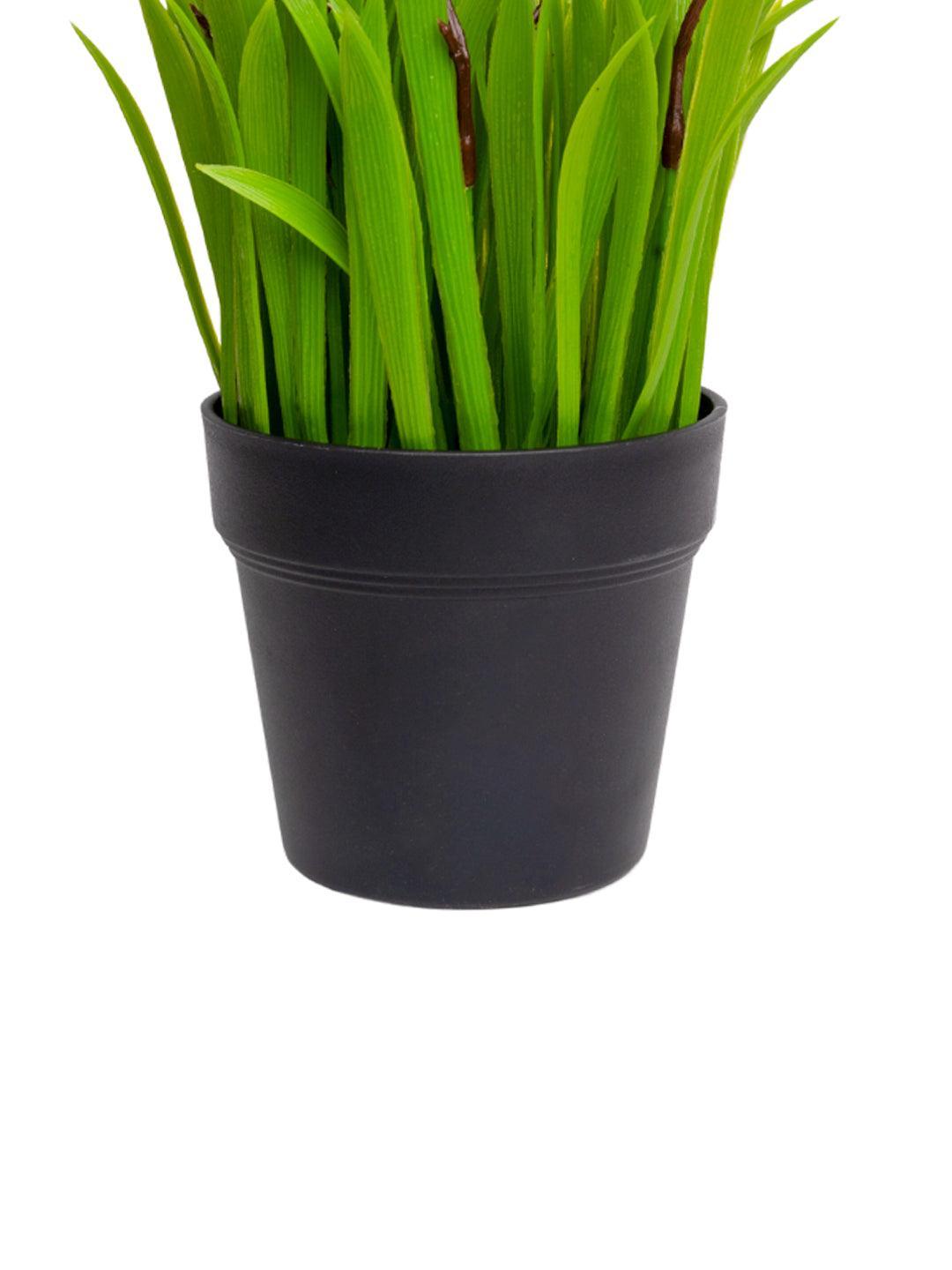 VON CASA White Flower Decorative Artificial Potted Plant - MARKET 99