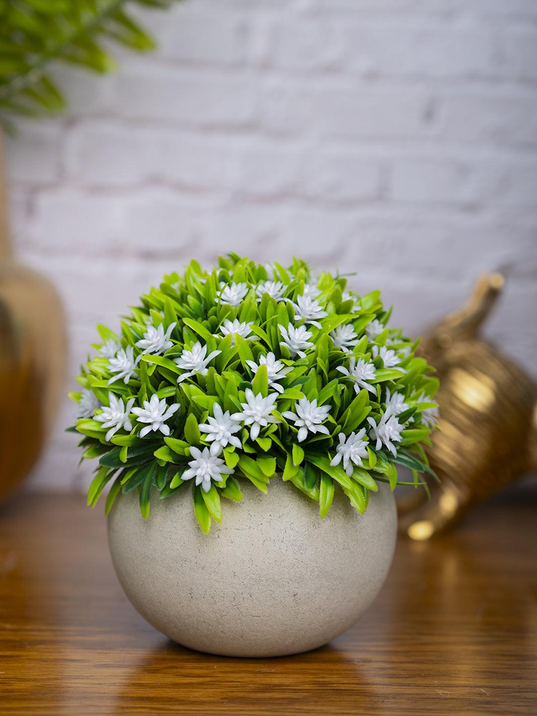 VON CASA White Flowers with Green Leafs Artificial Potted Plant - Stone Finish - MARKET 99