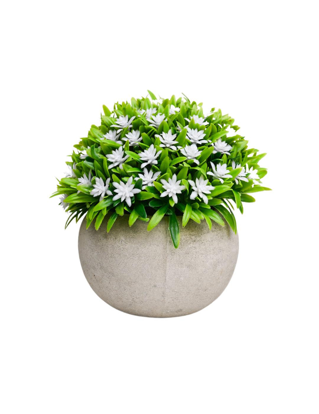 VON CASA White Flowers with Green Leafs Artificial Potted Plant - Stone Finish - MARKET 99