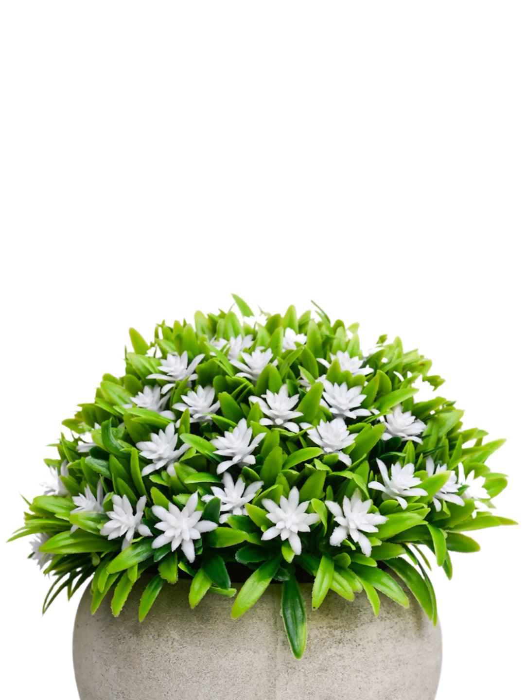 VON CASA White Flowers with Green Leafs Artificial Potted Plant - Stone Finish - MARKET 99