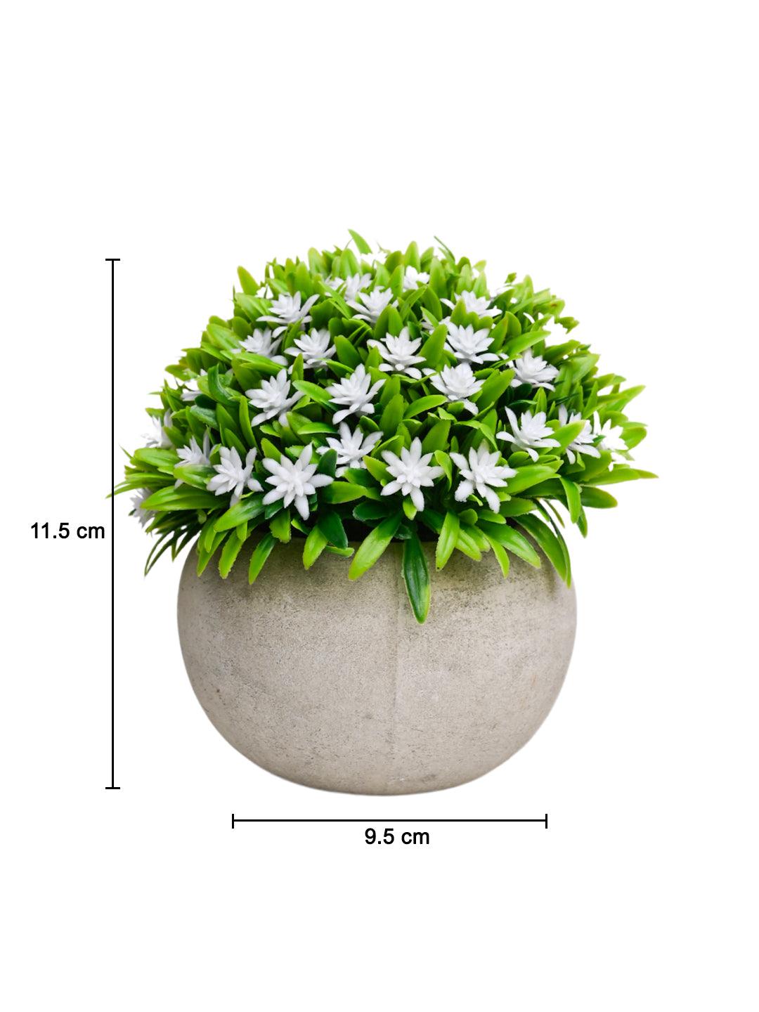 VON CASA White Flowers with Green Leafs Artificial Potted Plant - Stone Finish - MARKET 99